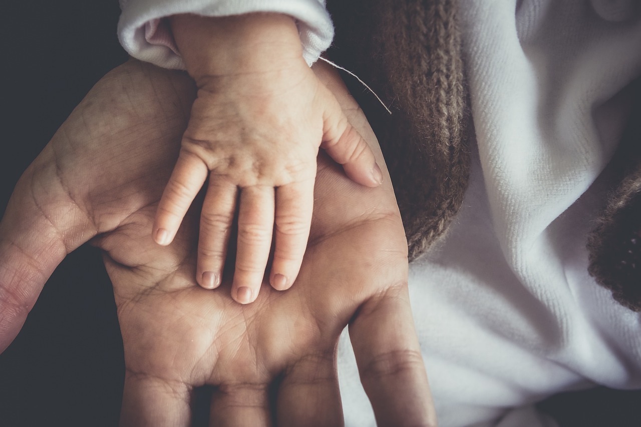 TEST DE PATERNIDAD